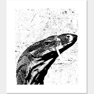 Goanna Posters and Art